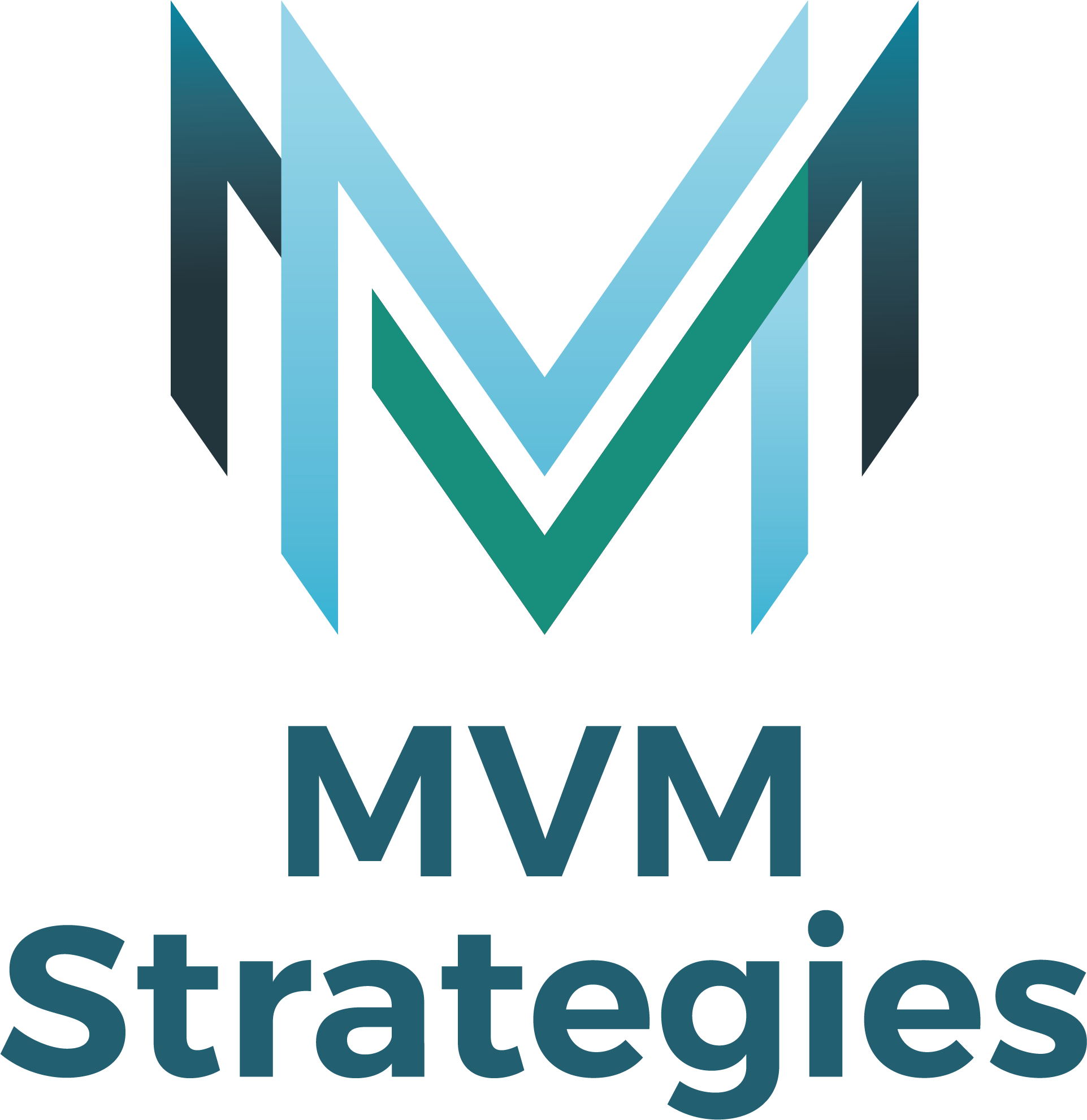 MVM Strategies logo